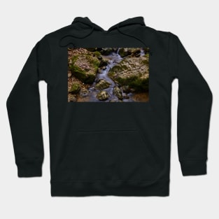 Mountain stream Hoodie